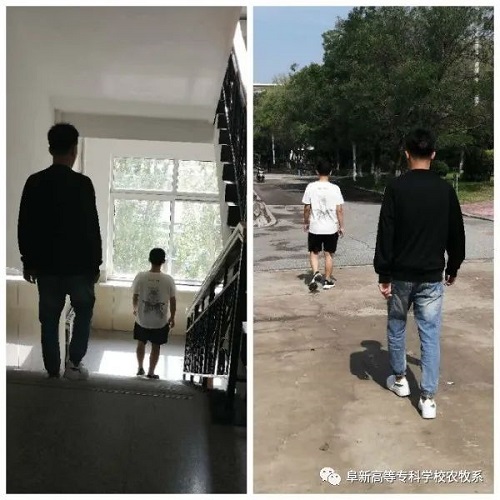 1601346308120833.jpg image005.jpg