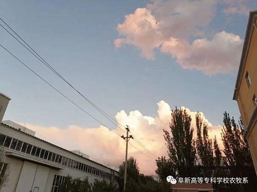 1601347569103177.jpg image012.jpg