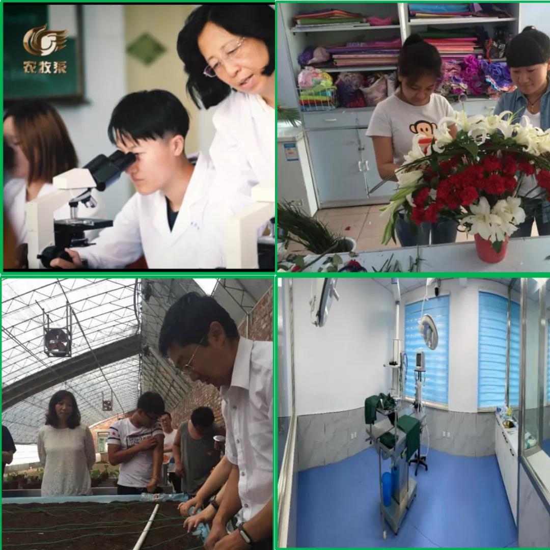 1642513418245453.jpg 5.jpg